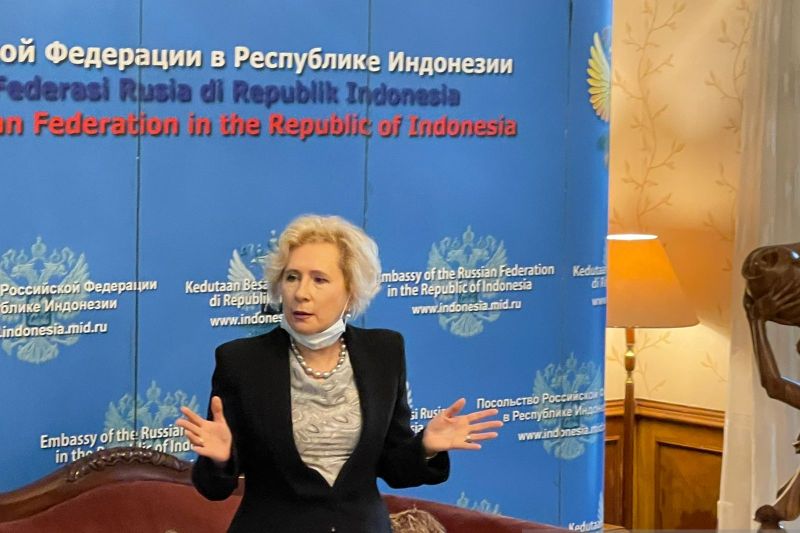 Rusia kembali buka layanan visa bagi pengunjung asal Indonesia