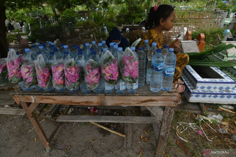 PENJUAL BUNGA TABUR