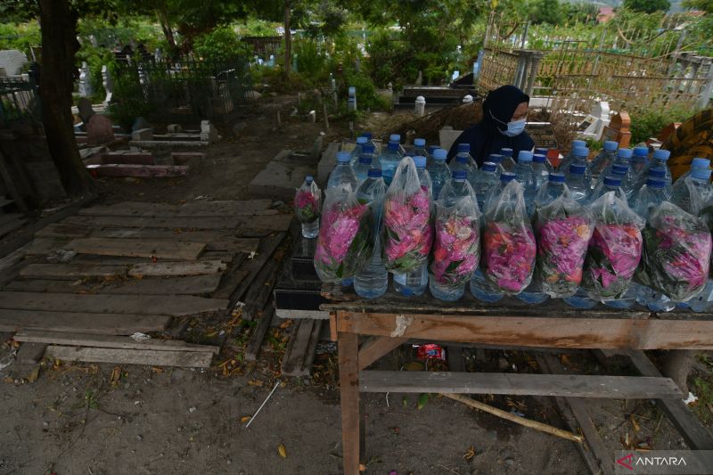 PENJUAL BUNGA TABUR