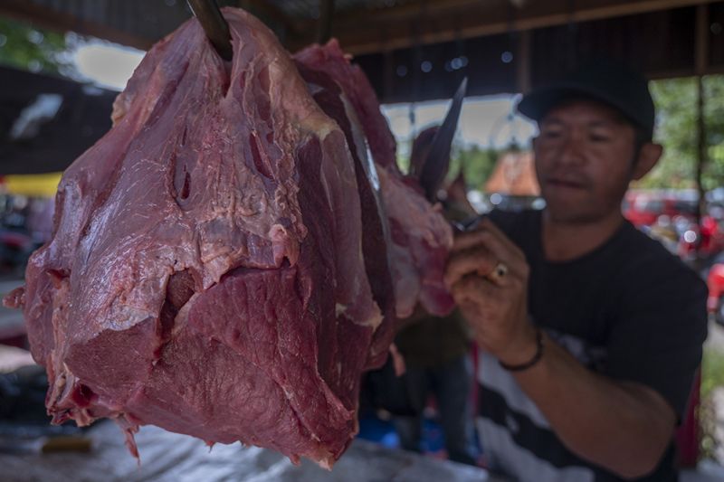 Pemerintah Jamin Ketersediaan Daging Sapi