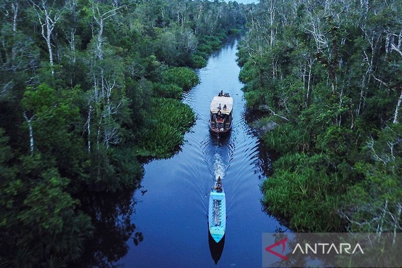 KLHK: Teknologi dan inovasi optimalkan kinerja industri kehutanan