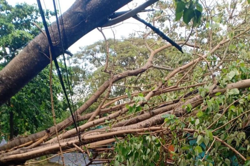 Cuaca ekstrem merusak jaringan listrik PLN di Mataram