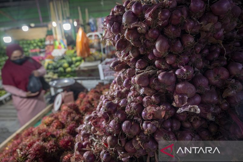 Ketersediaan Bawang Merah di Pasaran