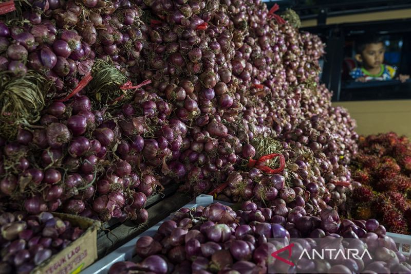 Ketersediaan Bawang Merah di Pasaran