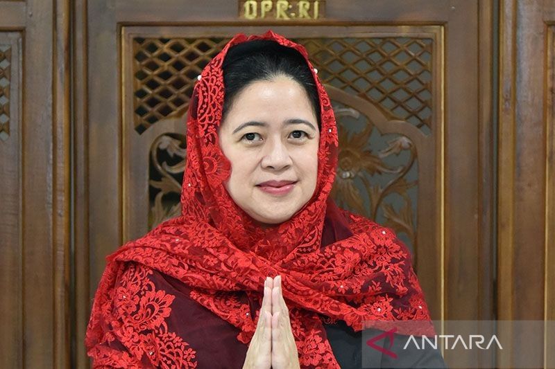 Puan sebut peran relawan sangat penting bagi kemanusiaan