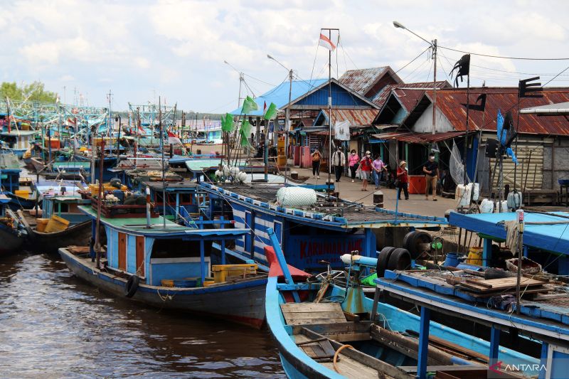 Kadin Papua dorong pembangunan pelabuhan ikan di Kabupaten Biak