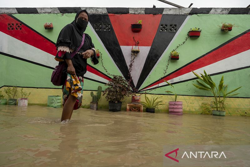 Banjir Luapan Air Sungai di Palu