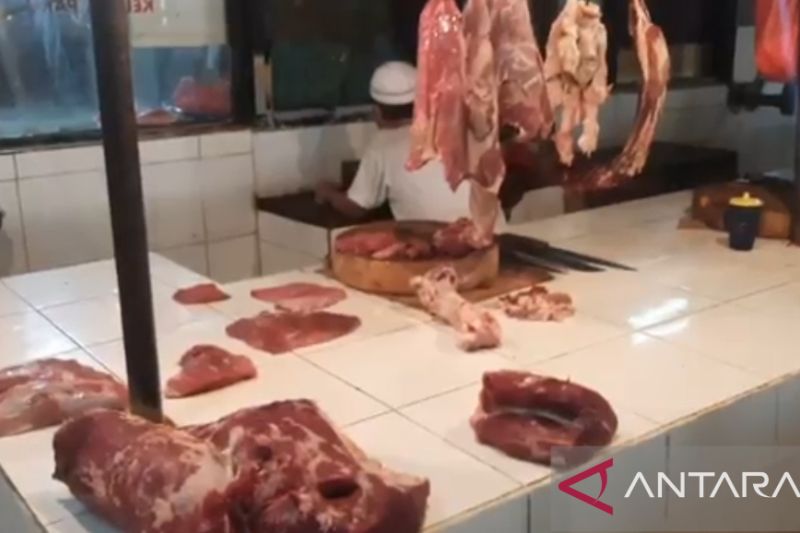 Harga daging sapi di Pasar Kramat Jati tak terpengaruh wabah PMK