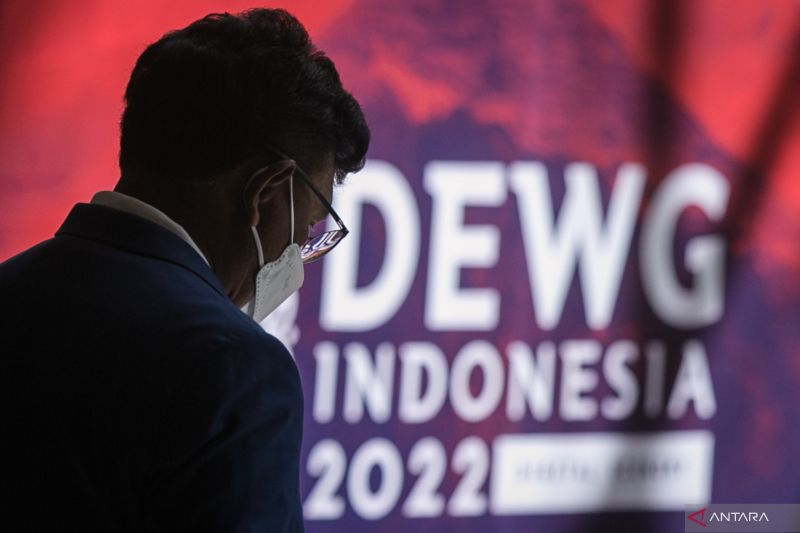 Indonesia dorong lanjutan pembahasan konektivitas digital di DEWG G20