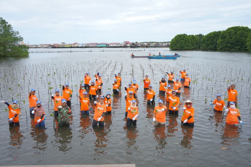 Hari Keanekaragaman Hayati Sedunia, PKT tanam 1.500 bibit mangrove