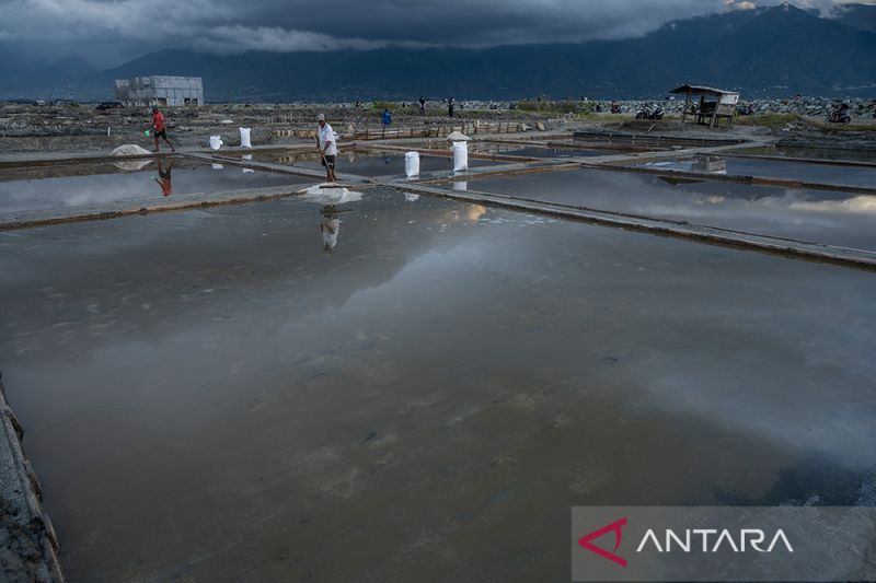 Penurunan Produksi Garam Akibat Anomali Cuaca