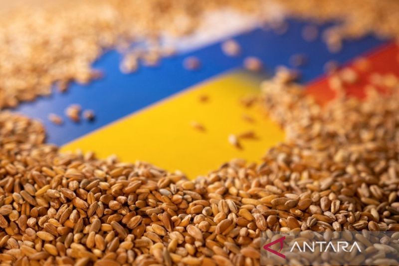 Ukraina terancam hanya bisa ekspor 2 juta ton gandum per bulan