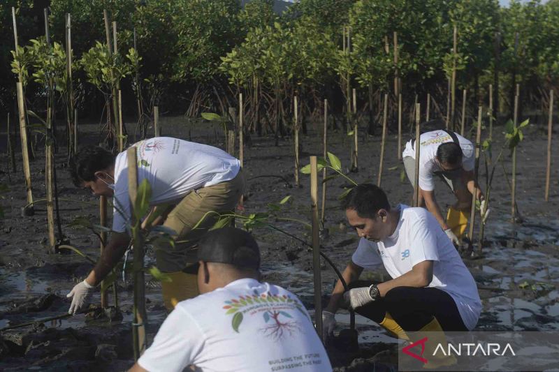 DEB beberkan teknis pemasangan pipa bawah mangrove Tahura Bali