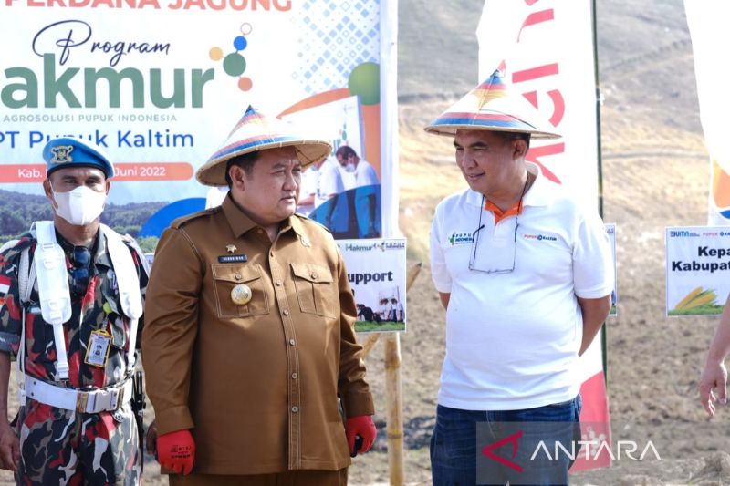 PKT tanam jagung 50 hektare di Gorontalo perluas program makmur