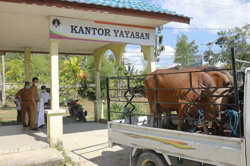 Pastikan tak beli hewan kurban dari luar, Instruksi Gubernur: Antisipasi penyakit