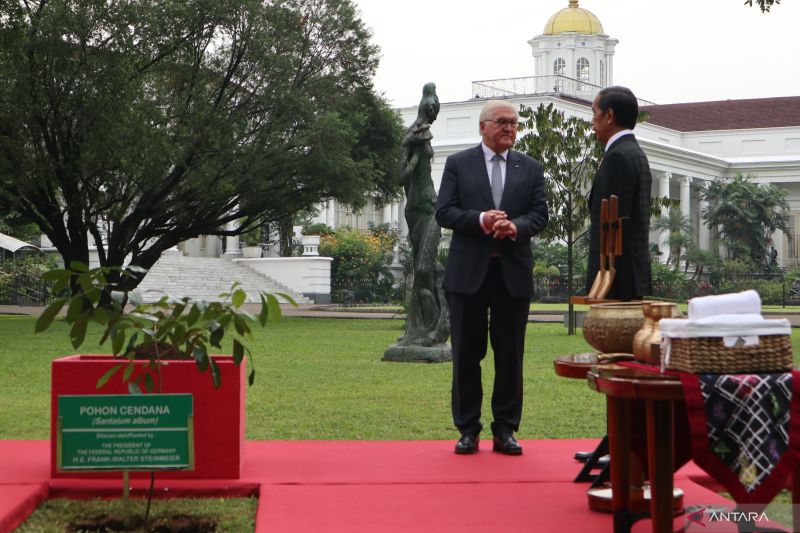 Jokowi terima kunjungan Presiden Jerman Frank-Walter Steinmeier