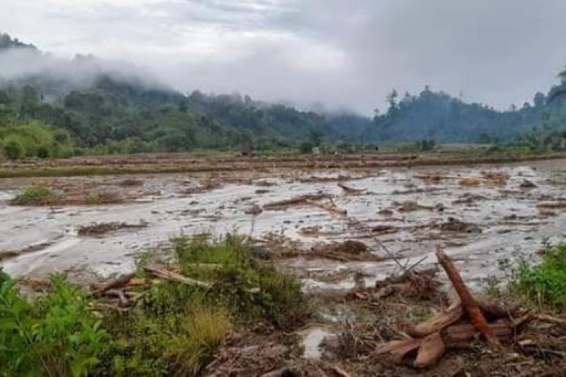 Lahan pertanian masyarakat di Mamasa rusak akibat banjir