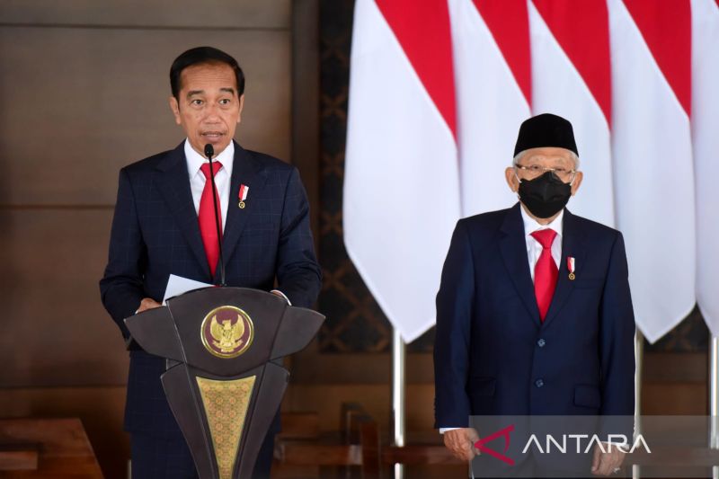 Jokowi bahas kerja sama-investasi dengan UEA usai ke Ukraina-Rusia