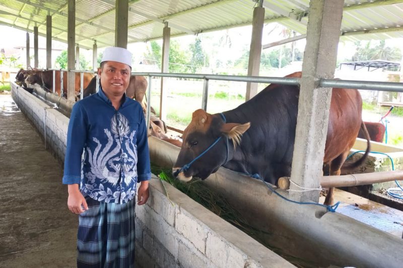 DPRD Lombok Tengah mendukung rencana ganti rugi sapi terkena PMK