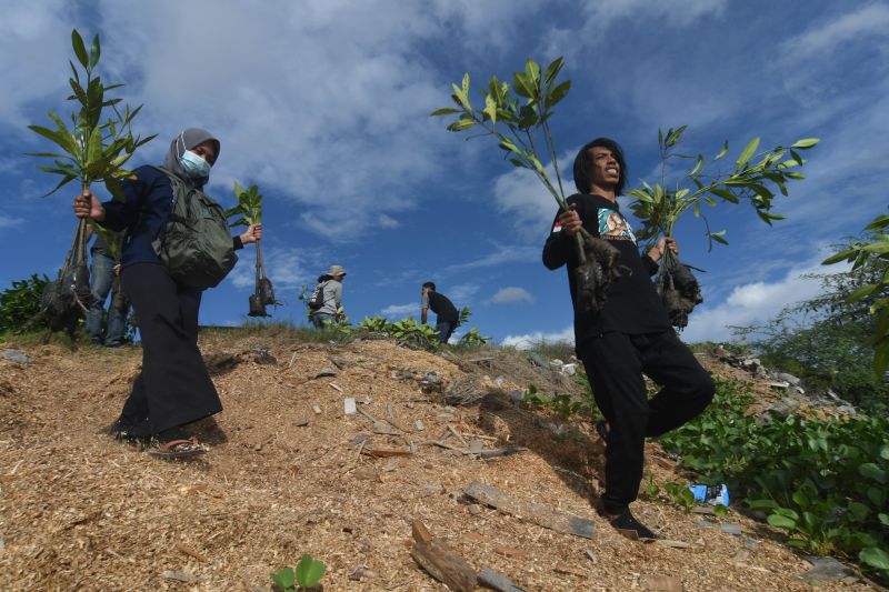 Aksi Penanaman 2.000 Bibit Mangrove