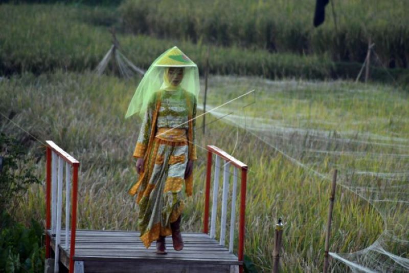 Wow...!!!, Ada peragaan busana di tengah sawah