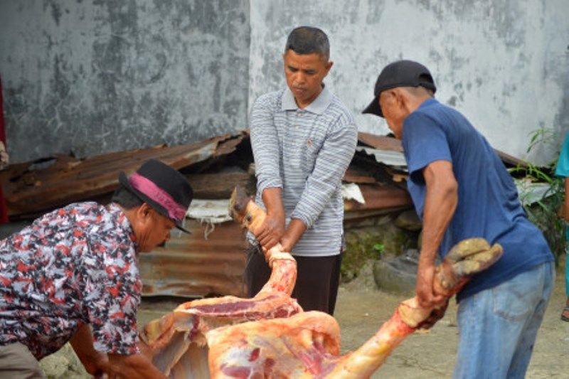 Kurban Tarekat Naqsabandiyah  Di Padang