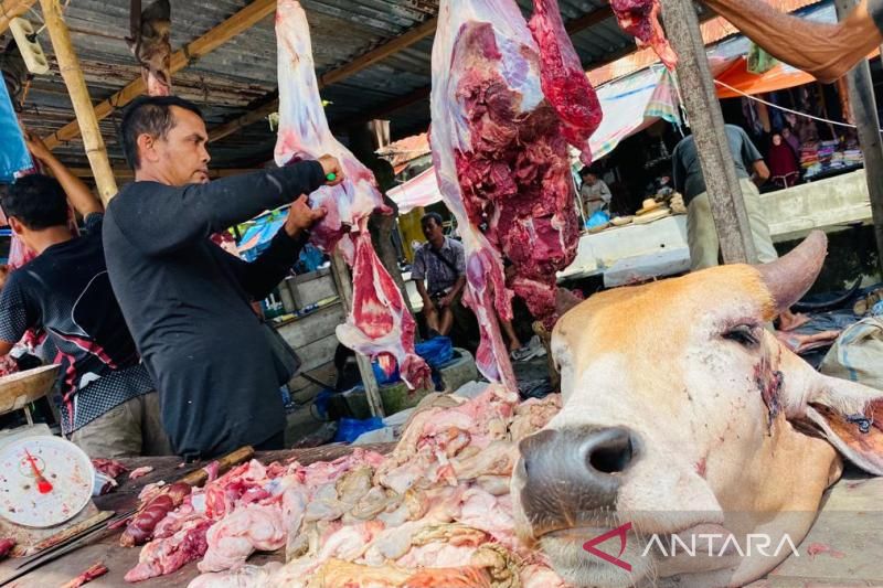 Harga daging sapi di Aceh Barat anjlok menjadi Rp150 ribu/kg