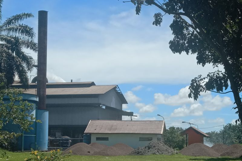 Pabrik sawit di Mukomuko stop operasi