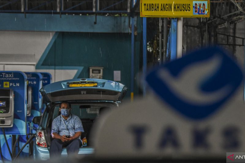 bluebird-catatkan-pendapatan-rp145-triliun-pada-kuartal-i-2026