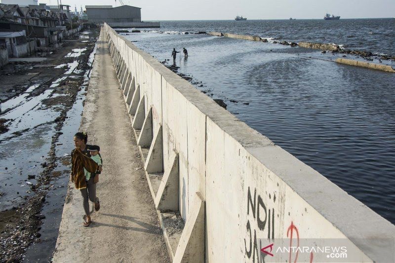 DKI estimasi anggaran bangun 8,3 km tanggul rob capai Rp1,38 triliun