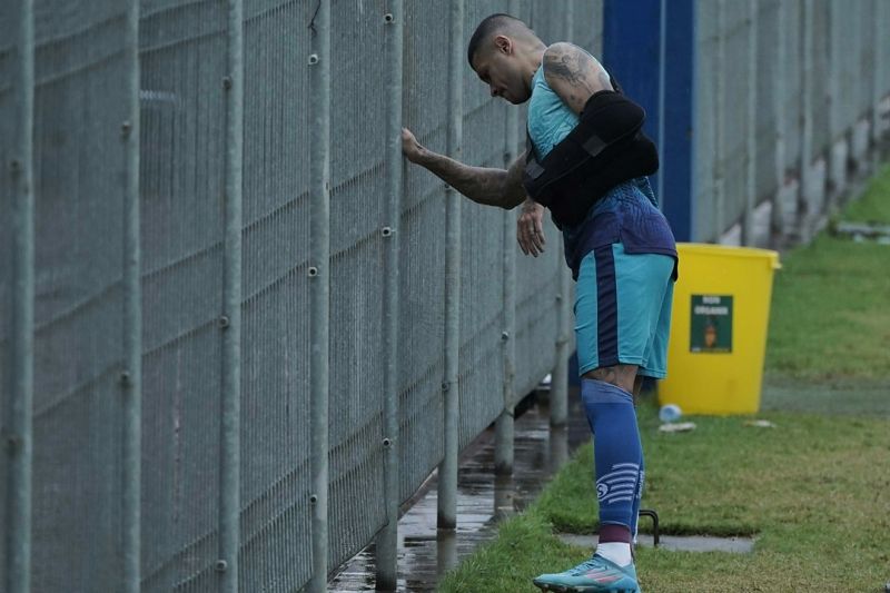 Pelatih Persib: Ciro Alves masih butuh waktu pulih