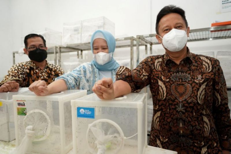 Menkes tertarik kembangkan inovasi Wolbachia untuk tekan kasus dengue