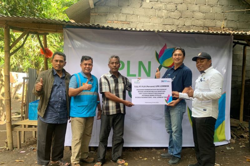 PLN bantu peternak bebek petelur di Lombok Timur