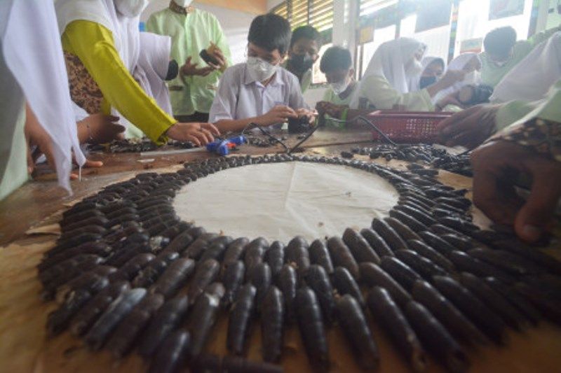 Kerajinan Dari Limbah Langkitang