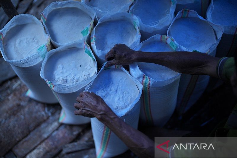 PRODUKSI TEPUNG SAGU