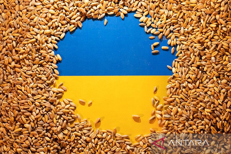 Ukraina perlu ekspor 50 juta ton biji-bijian pada pemasaran 2022-23