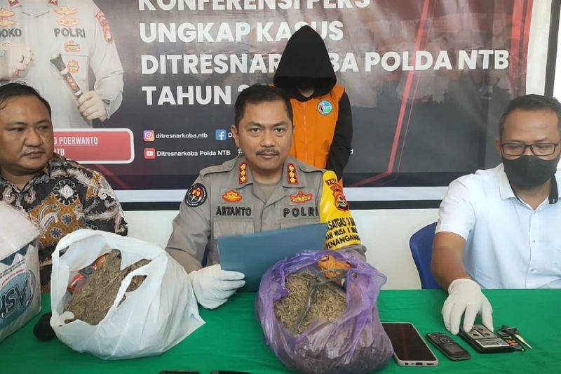 Pasangan suami istri kuasai 1,7 kilogram ganja kiriman ditangkap di wilayah Sikur Lotim