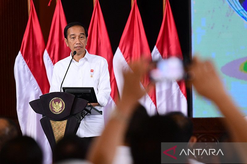 Presiden Jokowi minta anggota Kadin coba tanam sorgum di NTT