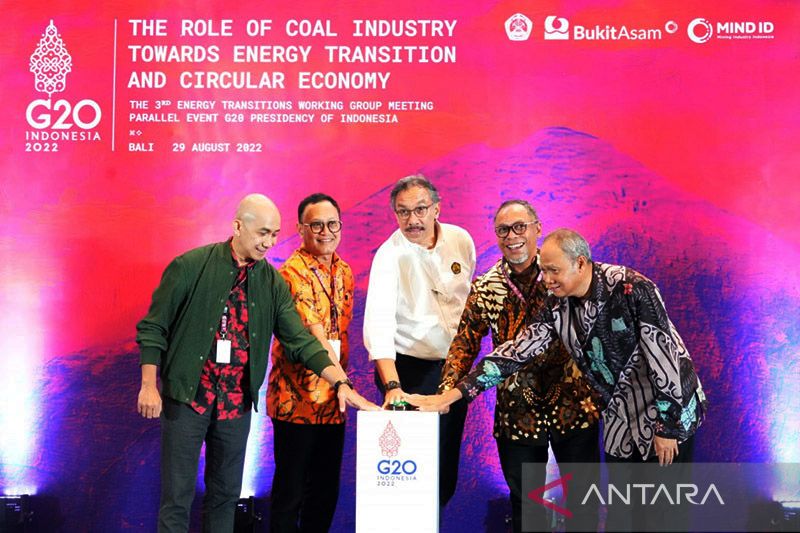 Technological innovation in the use of coal can support the energy transition
