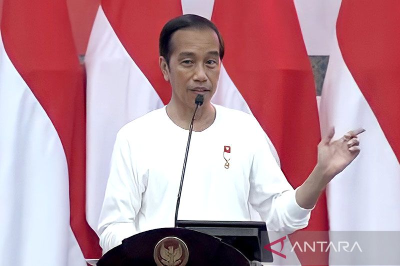 Presiden Jokowi dorong UMKM Papua masuk platform ekonomi digital