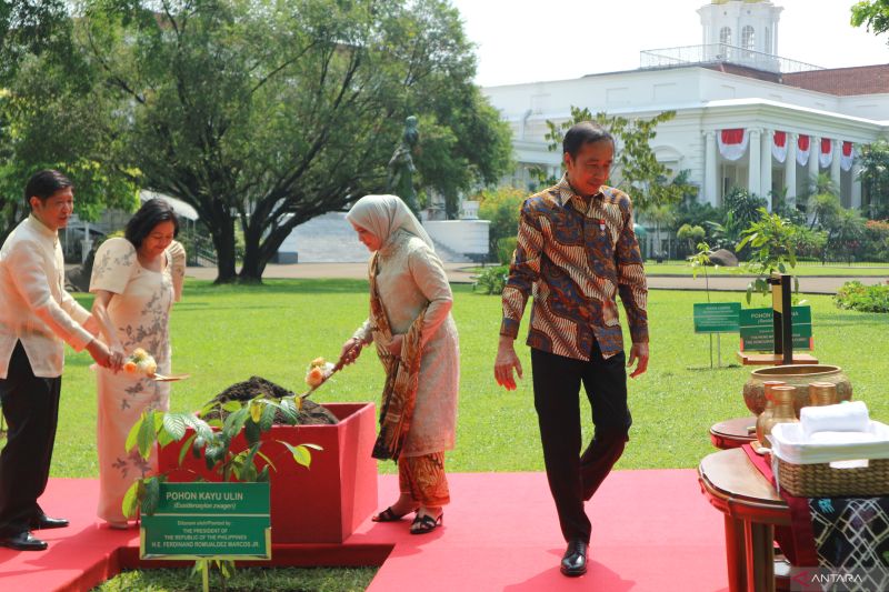 Jokowi dan Ferdinand Marcos Jr diskusikan isu bilateral