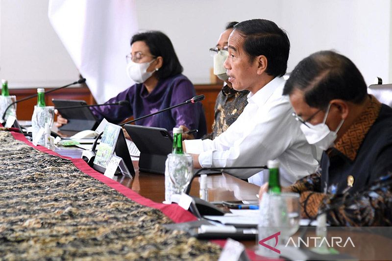 Presiden Jokowi: Butuh pemikiran "Abu Nawas" untuk hadapi krisis