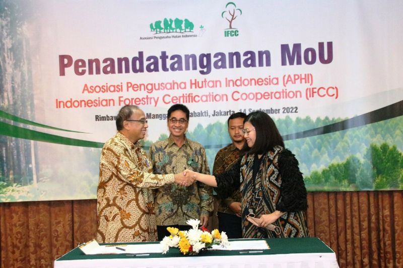 APHI dan IFCC kerja sama promosikan standar pengelolaan hutan lestari