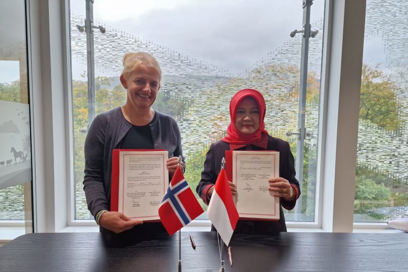 KKP-Norwegia kerja sama penjaminan mutu, keamanan, dan kesehatan ikan