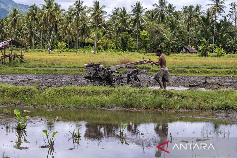 Subsidi BBM Alsintan Untuk Petani di Sigi