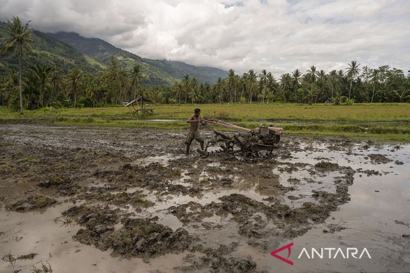 Subsidi BBM Alsintan Untuk Petani di Sigi