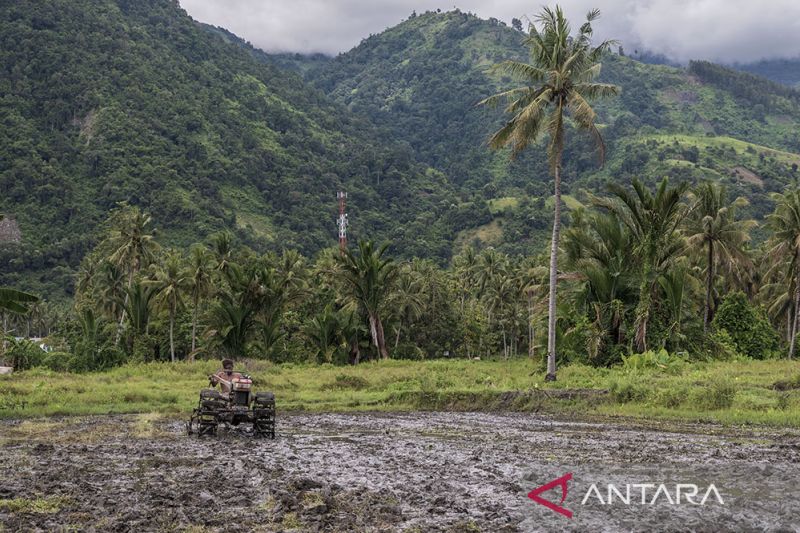 Subsidi BBM Alsintan Untuk Petani di Sigi