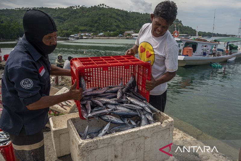 Keterlibatan BUMN di Industri Kelautan dan Perikanan 