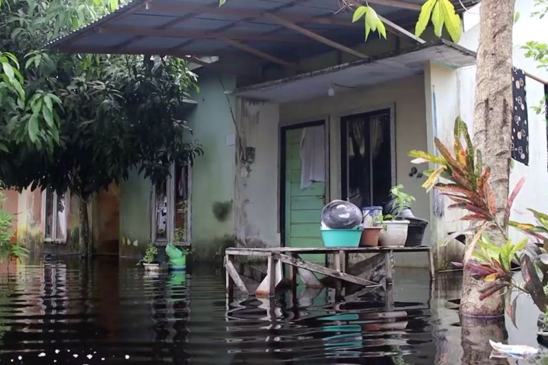 Sungai Malaya meluap, ratusan rumah di Siantan Hulu terendam banjir