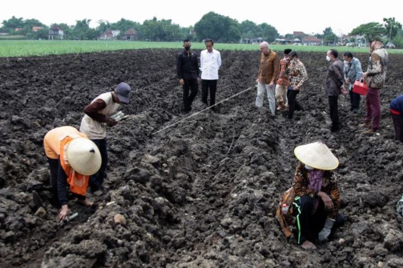 Kunjungan Presiden Jokowi Di Mojokerto